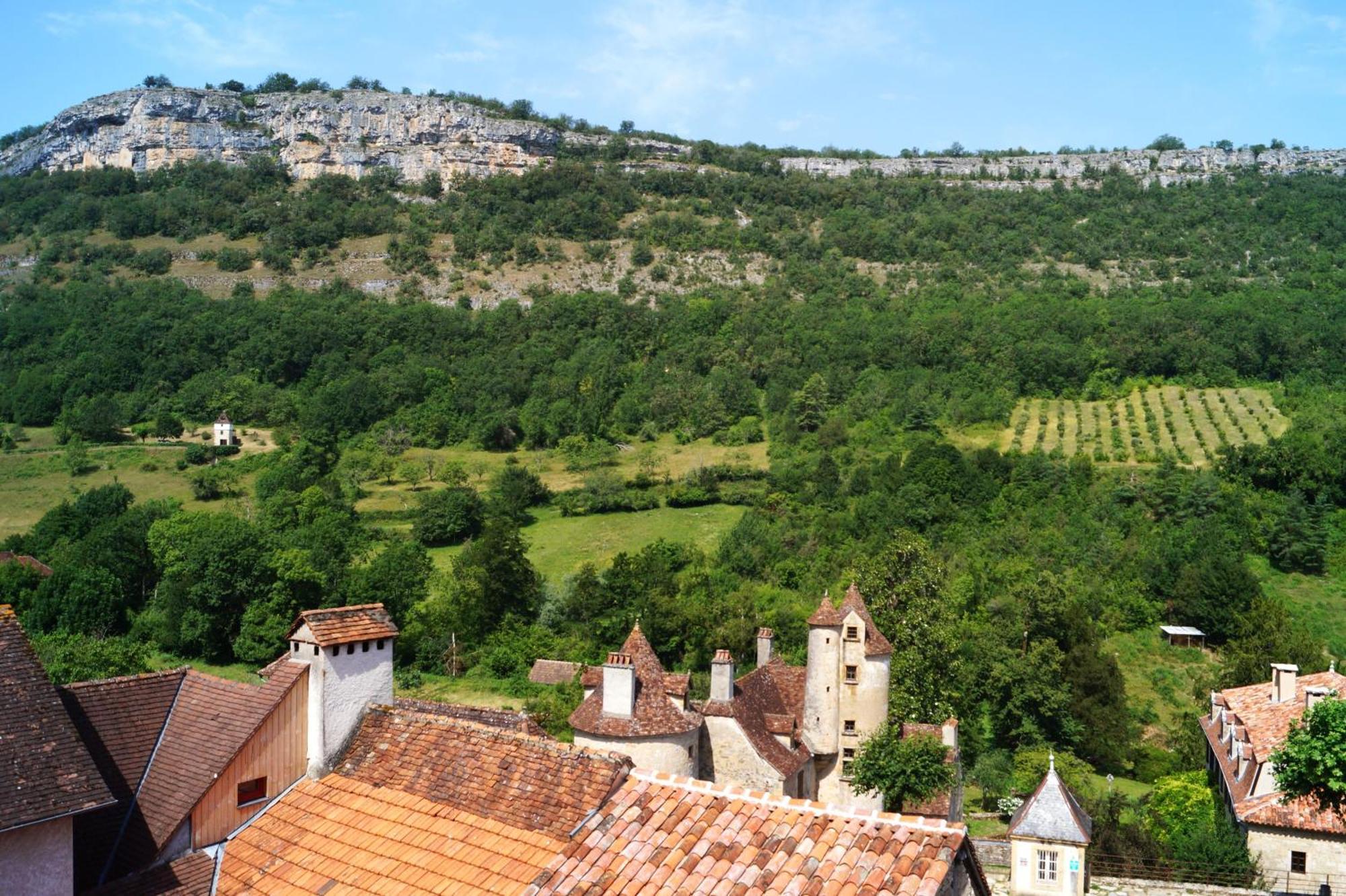 לינה וארוחת בוקר אוטואר Manoir De Laroque Delprat מראה חיצוני תמונה