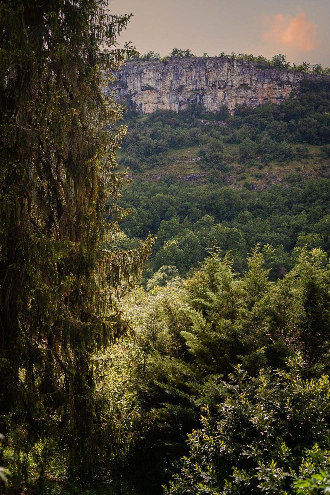 לינה וארוחת בוקר אוטואר Manoir De Laroque Delprat מראה חיצוני תמונה