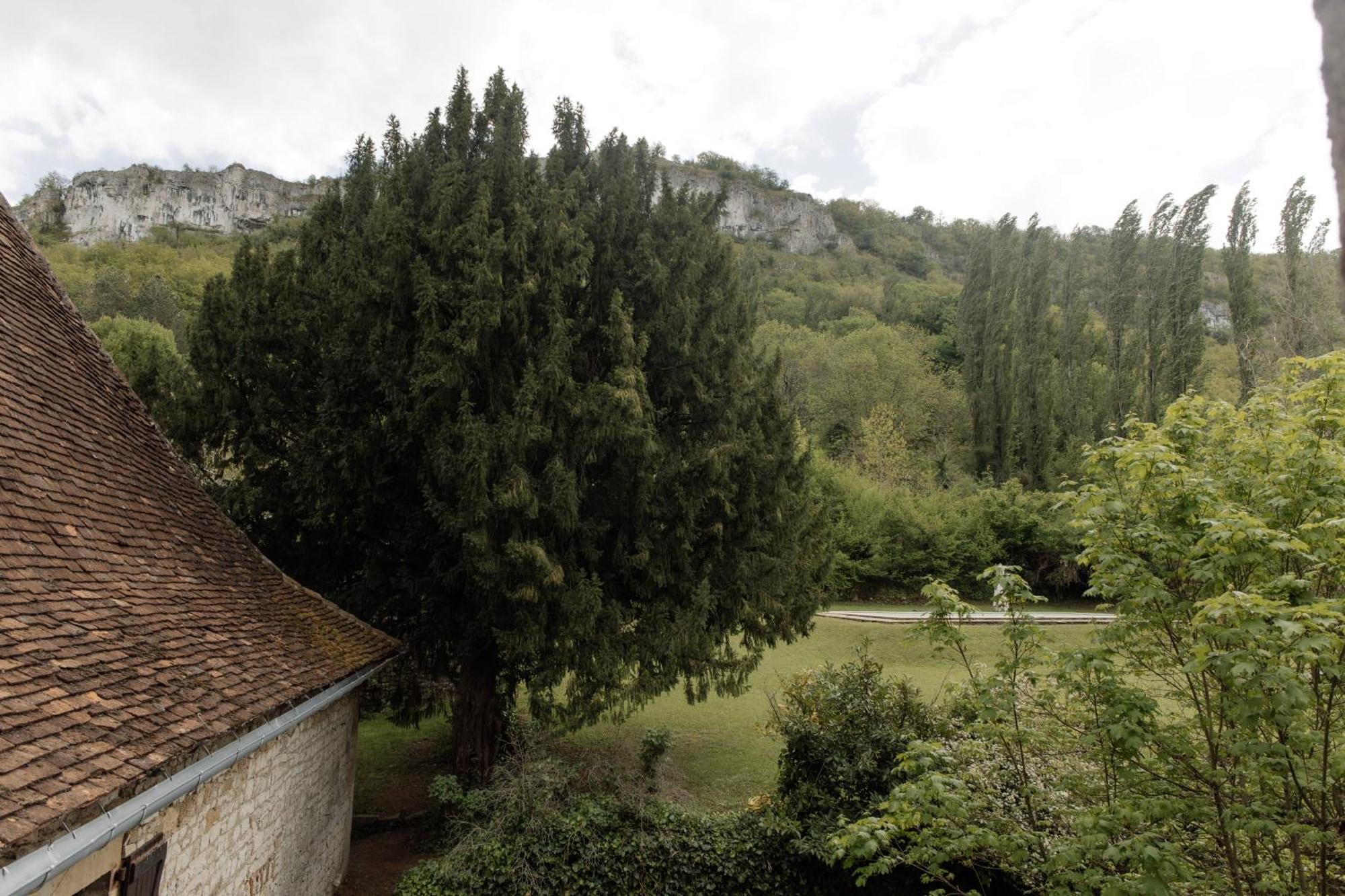 לינה וארוחת בוקר אוטואר Manoir De Laroque Delprat מראה חיצוני תמונה
